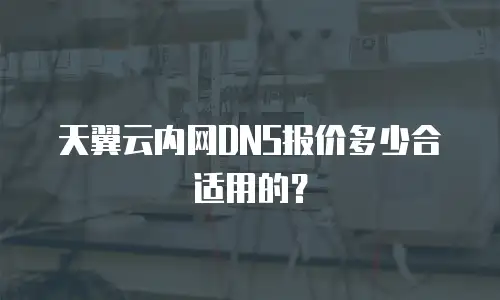 天翼云内网DNS报价多少合适用的？