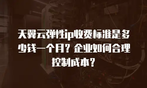 天翼云弹性ip收费标准是多少钱一个月？企业如何合理控制成本？