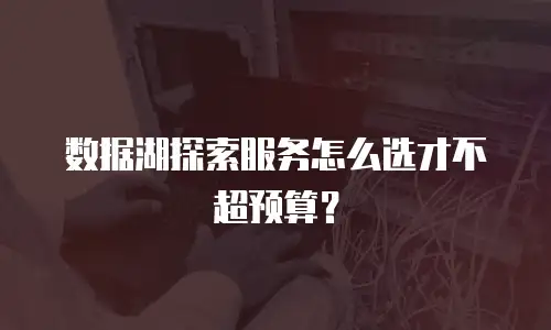 数据湖探索服务怎么选才不超预算？