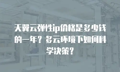 天翼云弹性ip价格是多少钱的一年？多云环境下如何科学决策？