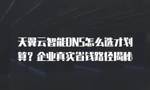 天翼云智能DNS怎么选才划算？企业真实省钱路径揭秘