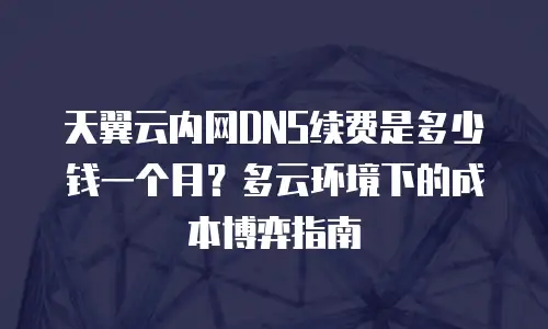 天翼云内网DNS续费是多少钱一个月？多云环境下的成本博弈指南