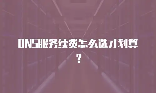 DNS服务续费怎么选才划算？