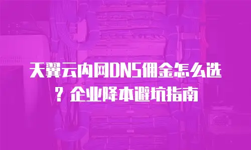 天翼云内网DNS佣金怎么选？企业降本避坑指南