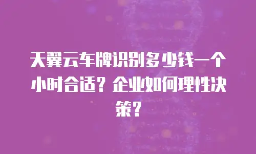 天翼云车牌识别多少钱一个小时合适？企业如何理性决策？