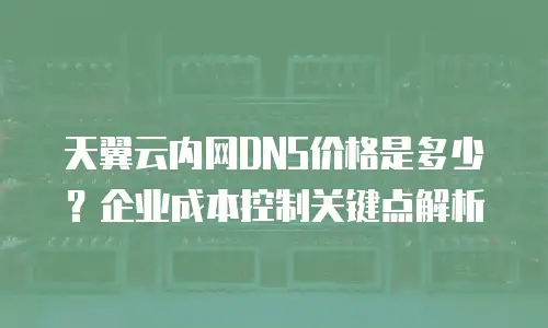 天翼云内网DNS价格是多少？企业成本控制关键点解析