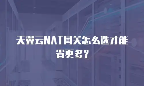 天翼云NAT网关怎么选才能省更多？