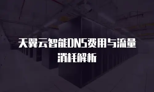 天翼云智能DNS费用与流量消耗解析