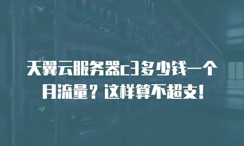 天翼云服务器c3多少钱一个月流量？这样算不超支！