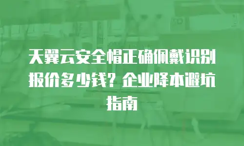 天翼云安全帽正确佩戴识别报价多少钱？企业降本避坑指南