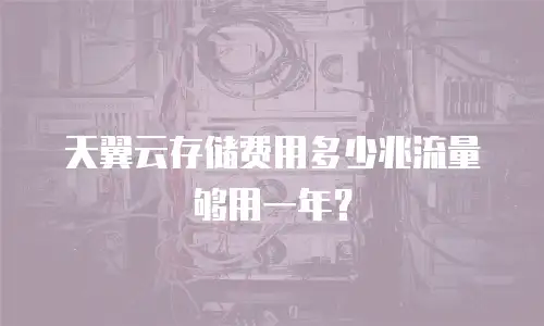 天翼云存储费用多少兆流量够用一年？