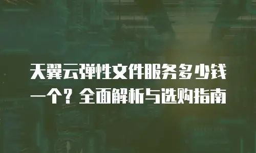 天翼云弹性文件服务多少钱一个？全面解析与选购指南