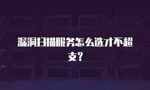 漏洞扫描服务怎么选才不超支？