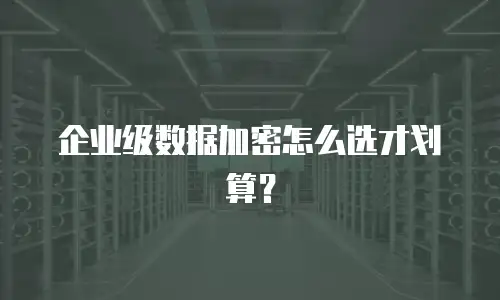 企业级数据加密怎么选才划算？