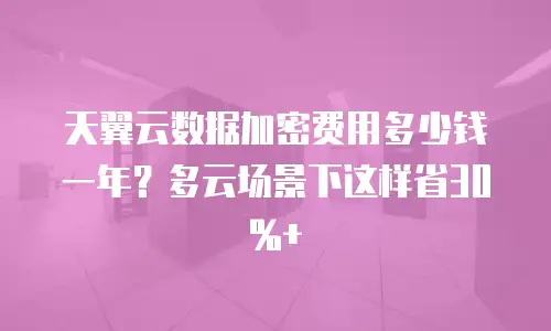 天翼云数据加密费用多少钱一年？多云场景下这样省30%+
