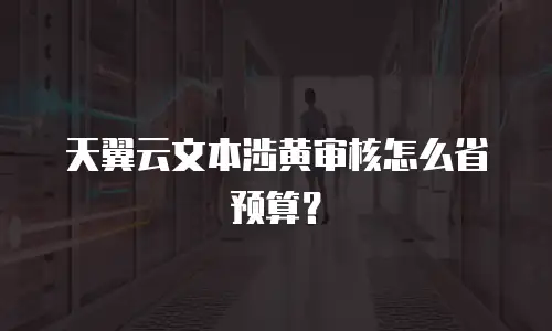 天翼云文本涉黄审核怎么省预算？