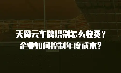 天翼云车牌识别怎么收费？企业如何控制年度成本？