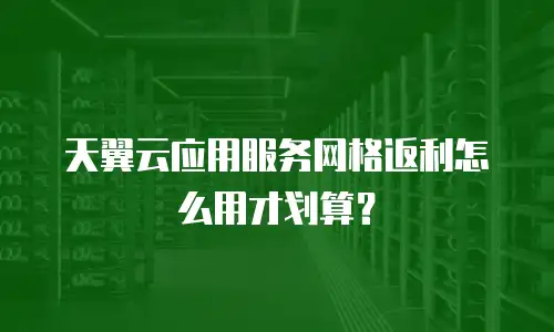 天翼云应用服务网格返利怎么用才划算？