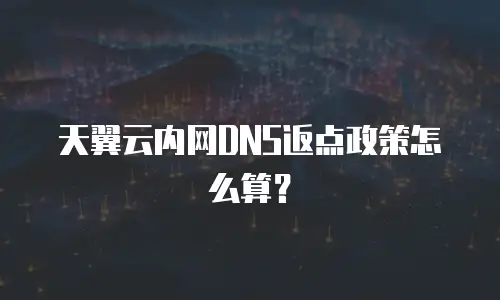 天翼云内网DNS返点政策怎么算？