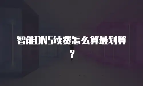 智能DNS续费怎么算最划算？