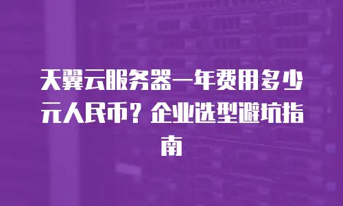 天翼云服务器一年费用多少元人民币？企业选型避坑指南