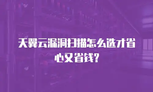 天翼云漏洞扫描怎么选才省心又省钱？