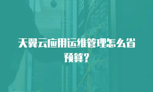 天翼云应用运维管理怎么省预算？