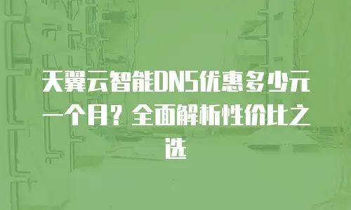 天翼云智能DNS优惠多少元一个月？全面解析性价比之选