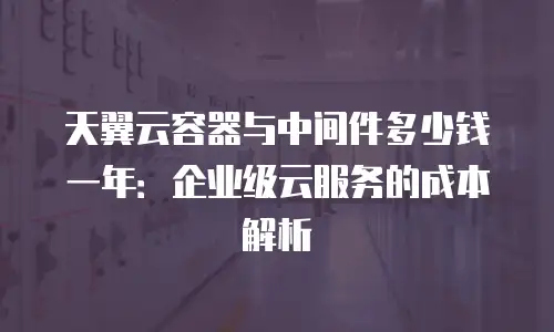 天翼云容器与中间件多少钱一年：企业级云服务的成本解析