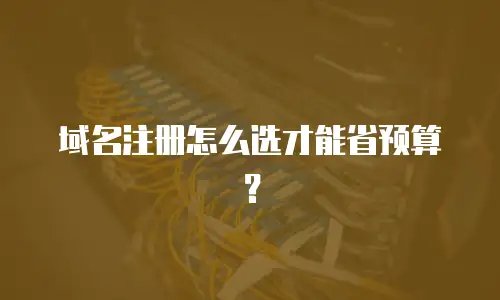 域名注册怎么选才能省预算？