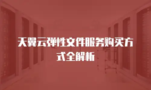 天翼云弹性文件服务购买方式全解析
