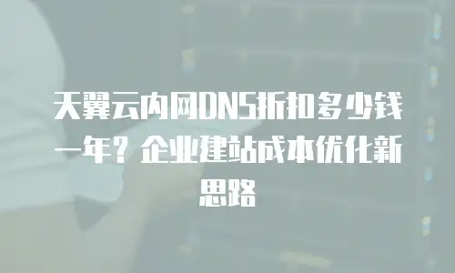 天翼云内网DNS折扣多少钱一年？企业建站成本优化新思路