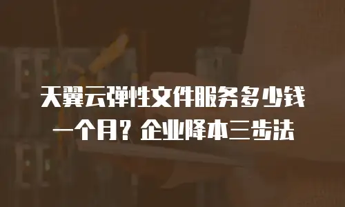 天翼云弹性文件服务多少钱一个月？企业降本三步法