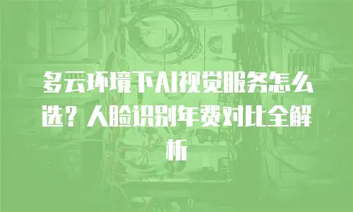 多云环境下AI视觉服务怎么选？人脸识别年费对比全解析