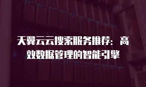 天翼云云搜索服务推荐：高效数据管理的智能引擎