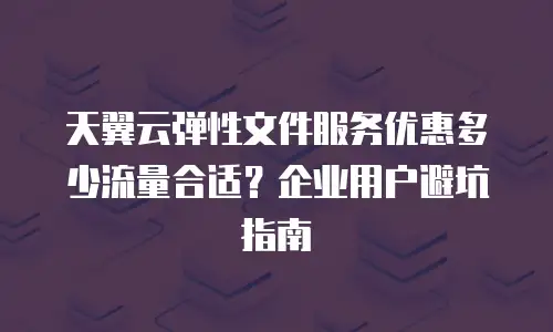 天翼云弹性文件服务优惠多少流量合适？企业用户避坑指南