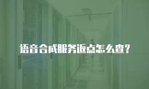 语音合成服务返点怎么查？