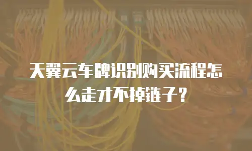 天翼云车牌识别购买流程怎么走才不掉链子？