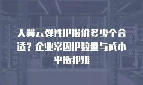 天翼云弹性IP报价多少个合适？企业常因IP数量与成本平衡犯难