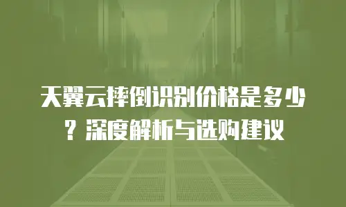 天翼云摔倒识别价格是多少？深度解析与选购建议