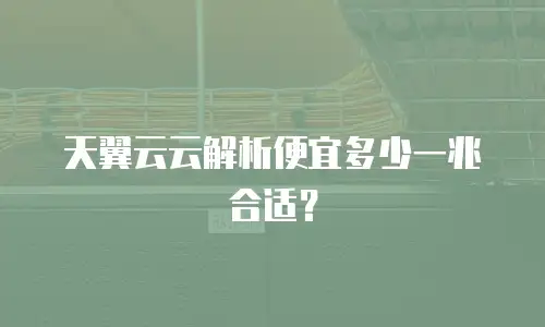 天翼云云解析便宜多少一兆合适？