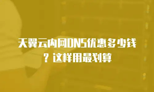 天翼云内网DNS优惠多少钱？这样用最划算