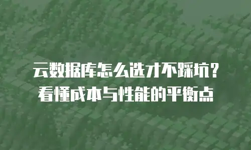 云数据库怎么选才不踩坑？看懂成本与性能的平衡点