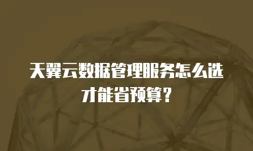 天翼云数据管理服务怎么选才能省预算？