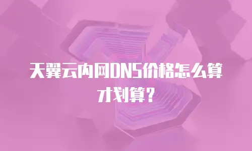 天翼云内网DNS价格怎么算才划算？