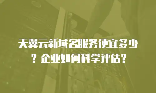 天翼云新域名服务便宜多少？企业如何科学评估？