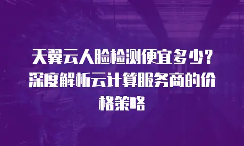 天翼云人脸检测便宜多少？深度解析云计算服务商的价格策略
