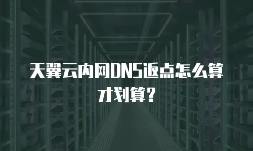 天翼云内网DNS返点怎么算才划算？