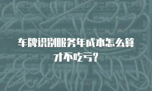 车牌识别服务年成本怎么算才不吃亏？