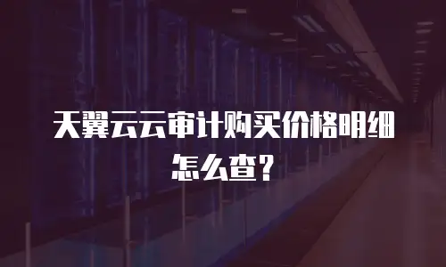 天翼云云审计购买价格明细怎么查？